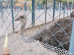 -长白岛森林公园