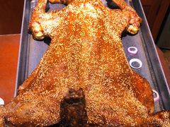 蒙古烤全羊-九十九顶毡房(阜石路店)