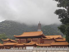 -深圳仙湖植物园