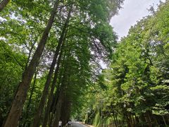 -青城山