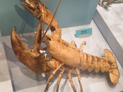 -天津自然博物馆