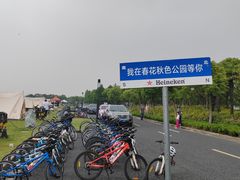 -春花秋色城市公园