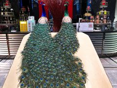 -北京索菲特大酒店