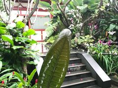 -新加坡佛牙寺龙华院