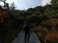 -崂山仰口游览区