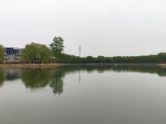 -大兴滨河森林公园