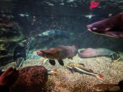 -太平洋海底世界