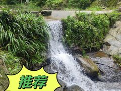 -素山寺森林公园