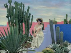 -漳州滨海火山岛自然生态风景区