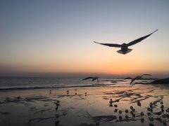 -老虎石海上公园