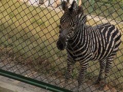 -宿豫区运河湾森林动物园