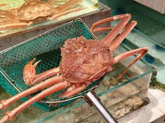 -至尊鲨鱼·原烹海鲜·新浙菜(拱宸桥店)