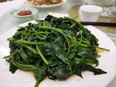 地瓜叶-五谷芳乳鸽王(海景店)