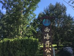 -西海子公园