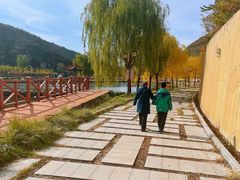 -五龙城郊森林公园