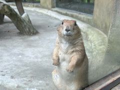 -合肥野生动物园