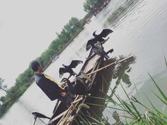 -长兴太湖图影湿地文化园