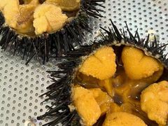 -码头鲜精致威海菜(欧乐坊店)