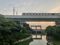 -宝安西湾红树林湿地公园