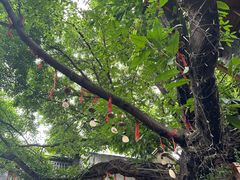 -重庆十八梯传统风貌区