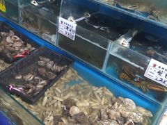 水产区-云南巷海鲜大咖·可加工海鲜