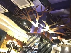 -翠华餐厅(铜锣湾糖街店)