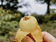 -东山风景区(洞庭东山)