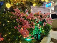 -凤凰岛度假酒店-海鲜自助餐厅