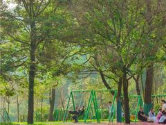 -广州市石门国家森林公园