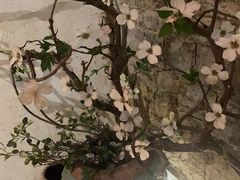 -七十七号厨房·新派江西菜(滨湖店)
