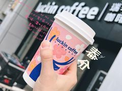 -瑞幸咖啡(富力金禧店)