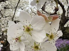 -江苏三台山国家森林公园