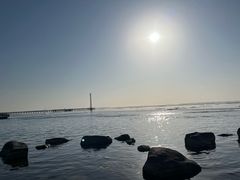 -滆湖低碳生态公园