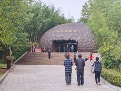 -中国西峡恐龙遗迹园