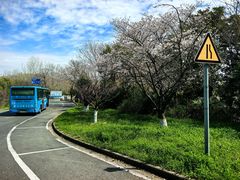 -狮麟驾校