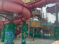 -重庆海昌加勒比海水世界