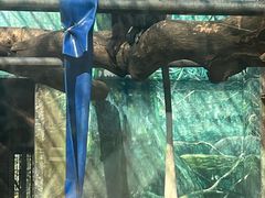-昆明动物园