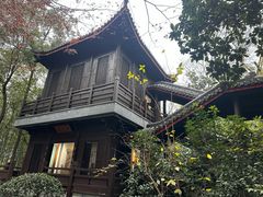 -天目湖山水园