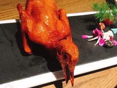 -大鸽饭(岗顶店)