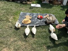 -HERRE·FARM 赫尔露营农场·团建聚会包场