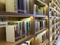 -艾溪湖湿地公园