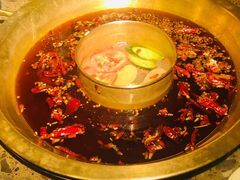 鸳鸯锅-小龙坎火锅(双林店)
