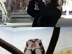 -中国西峡恐龙遗迹园