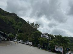 -西双版纳原始森林公园