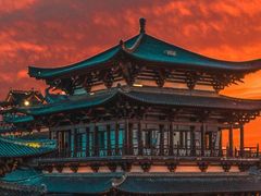 -长沙黑麋峰国家森林公园