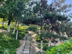 -莫子山公园