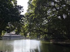 -荔湾湖公园