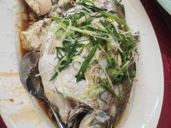 -鸿达渔港