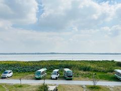 -莲花岛景区
