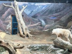 -西安曲江海洋极地公园